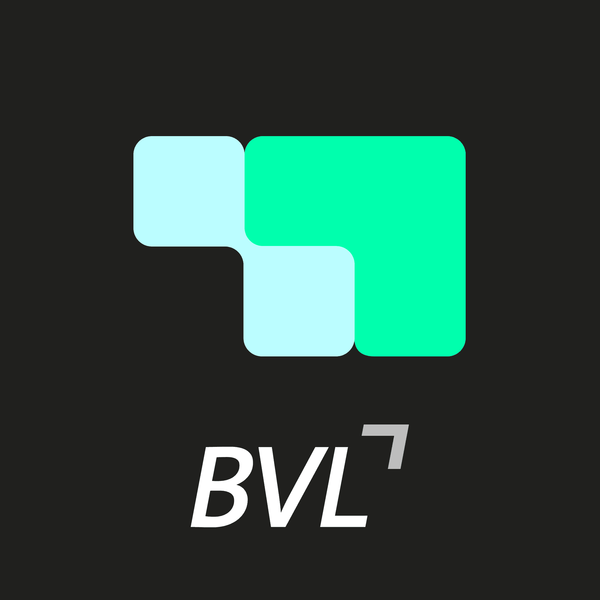 BVL everstox 2021
