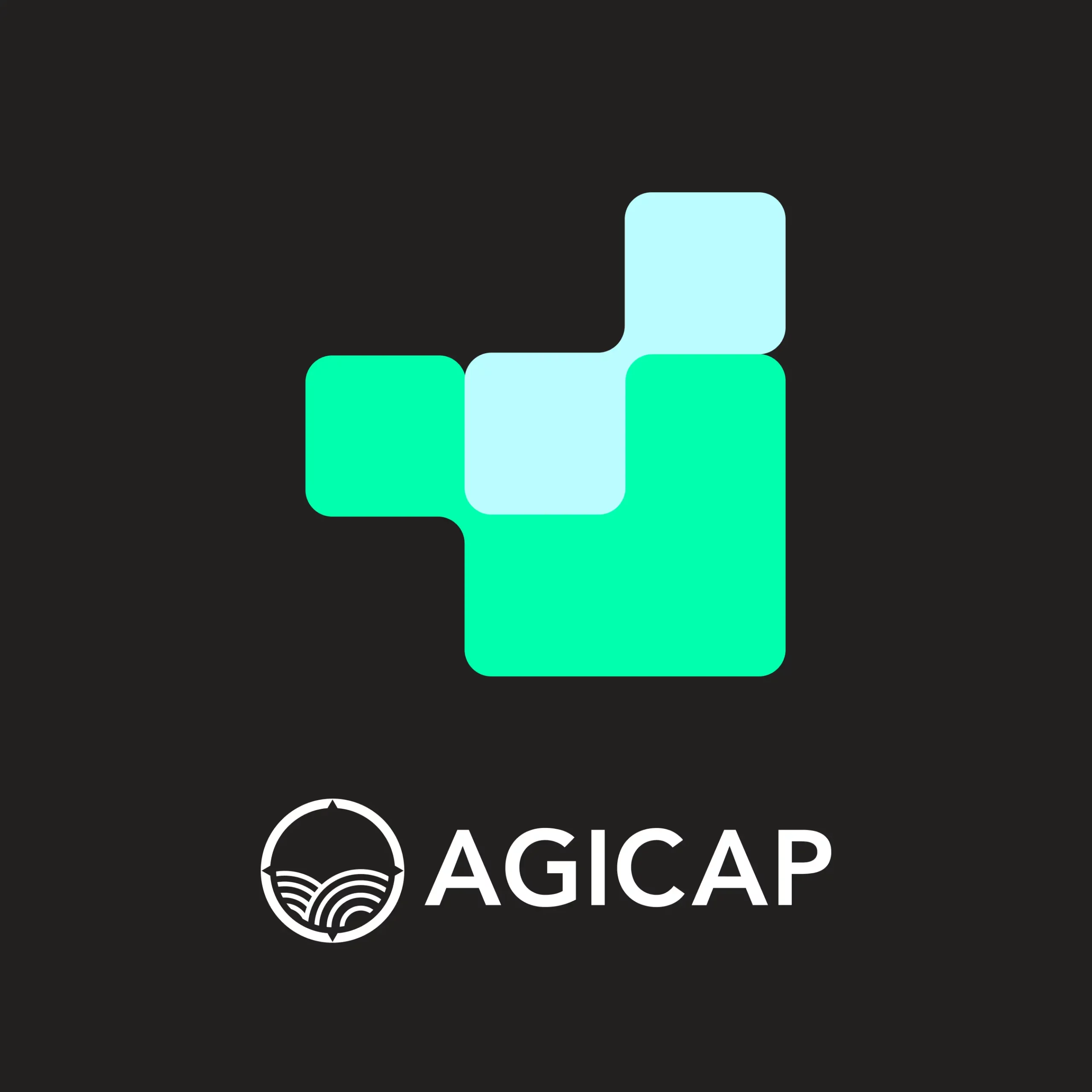 Agicap case study selling your first 5,000 orders abroad