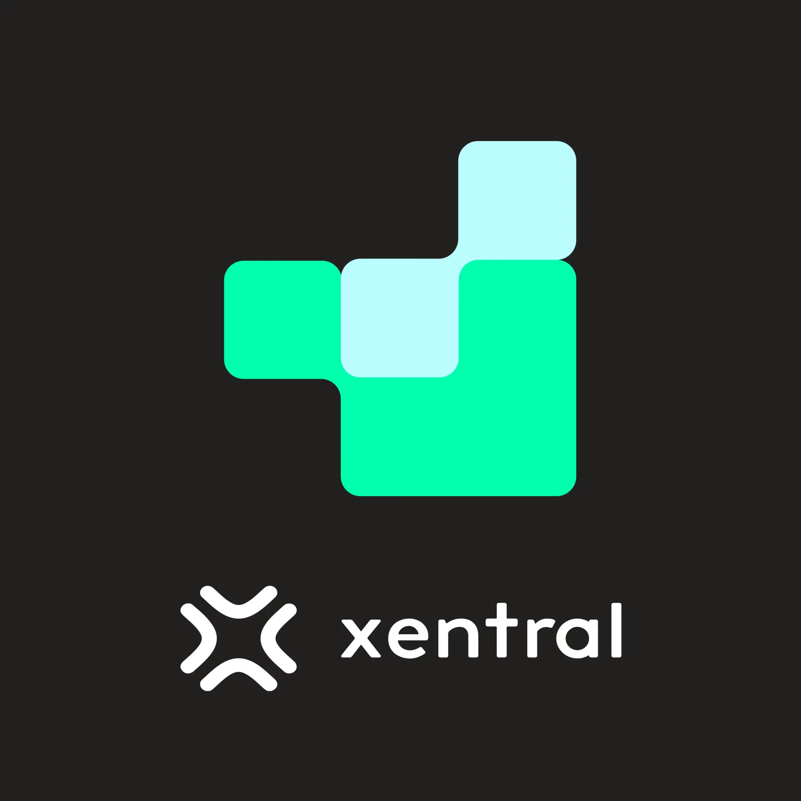 Xentral case study - Logistics solution everstox