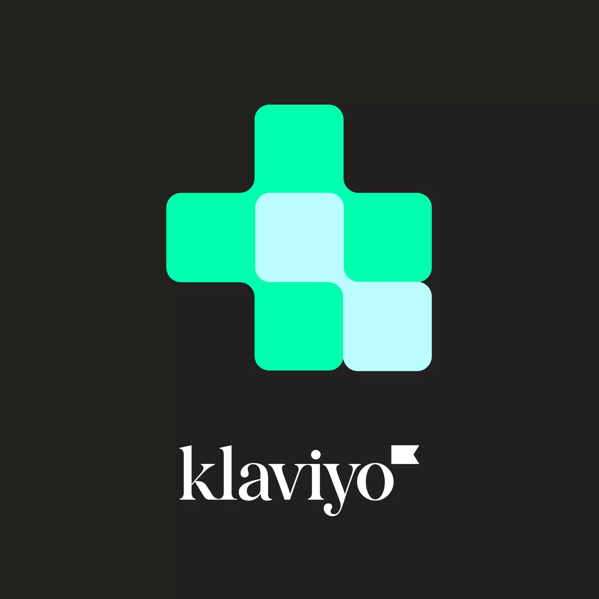 klaviyo integration